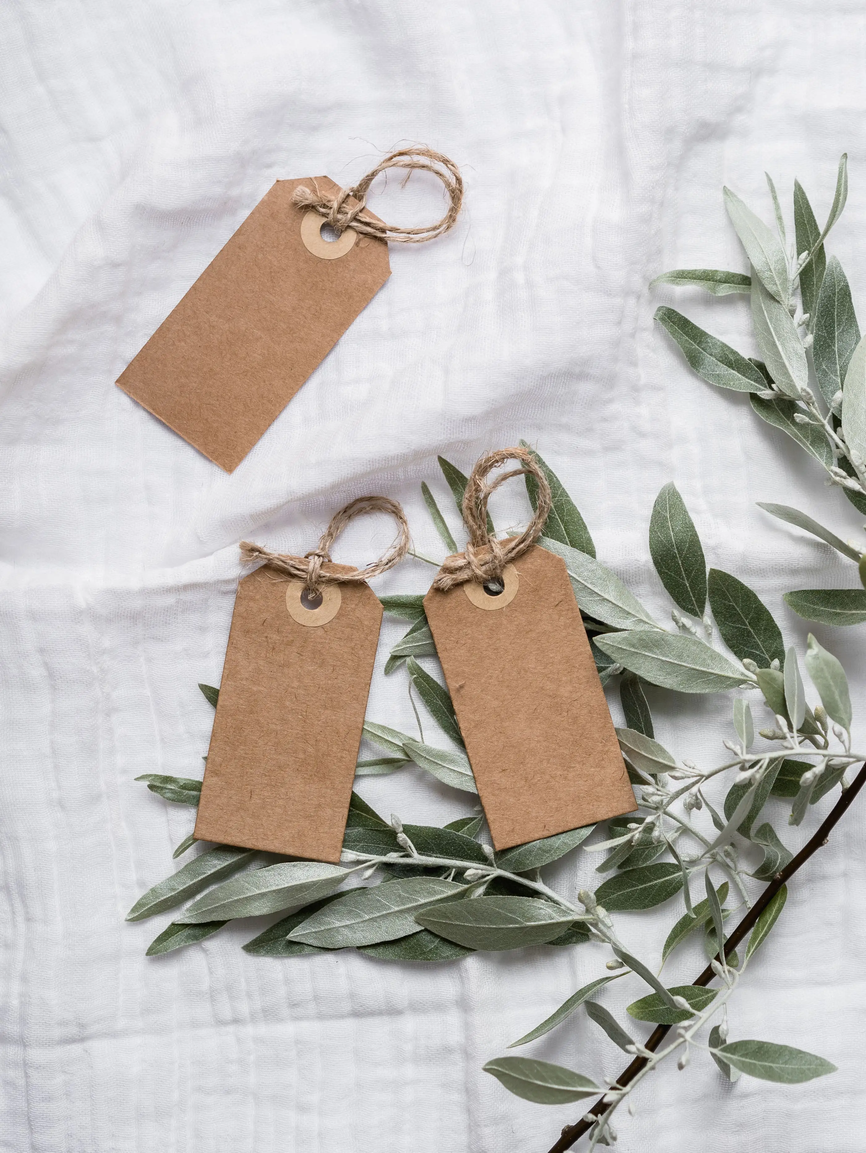 Etiquetas de papel kraft con cordel y hojas verdes